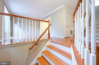 2058 Pieris Ct in Vienna, VA - Building Photo - Building Photo