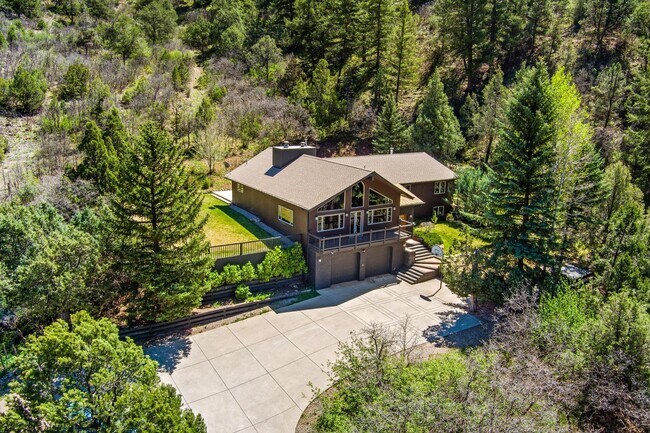 377 Crystal Ln in Carbondale, CO - Building Photo - Building Photo