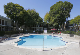 Normandy Park in Santa Clara, CA - Foto de edificio - Building Photo