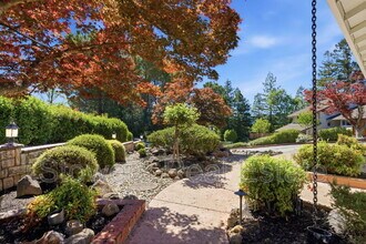 155 Mountain Canyon Pl in Alamo, CA - Building Photo - Building Photo