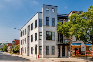 705 Lacasse Rue in Montréal, QC - Building Photo