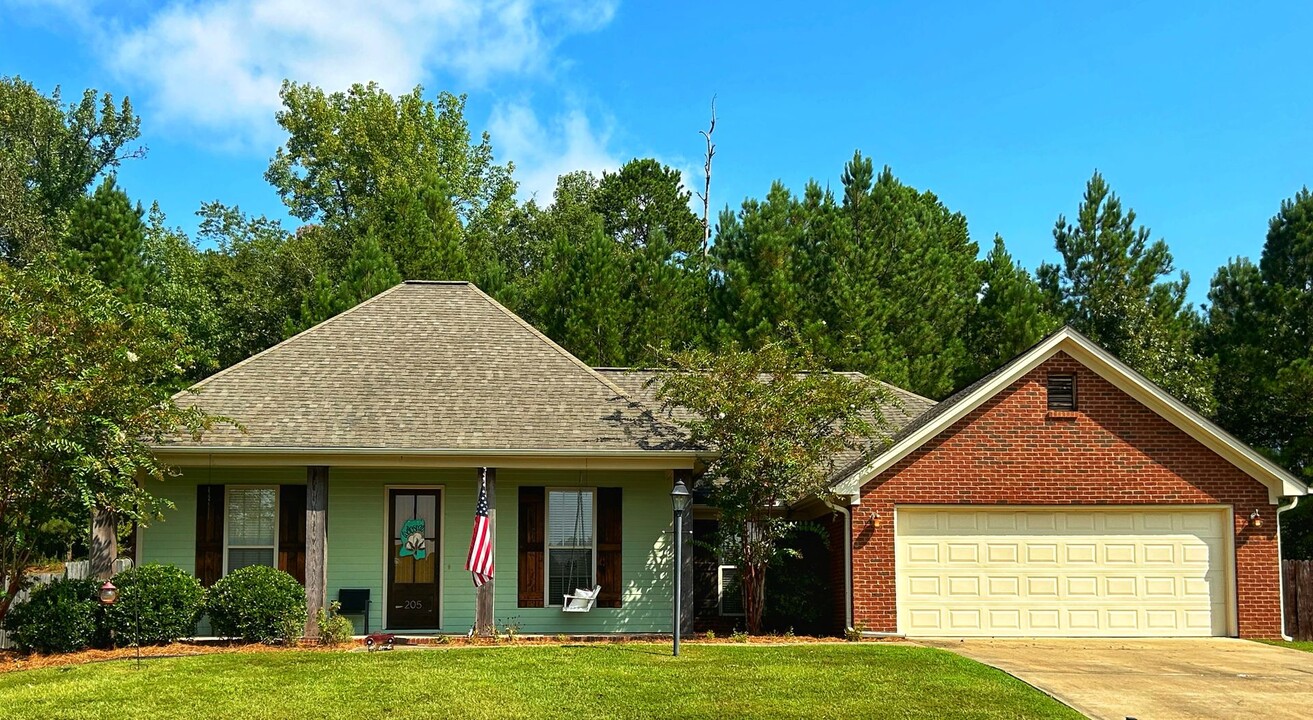 205 Birch Tree Loop in Oxford, MS - Building Photo