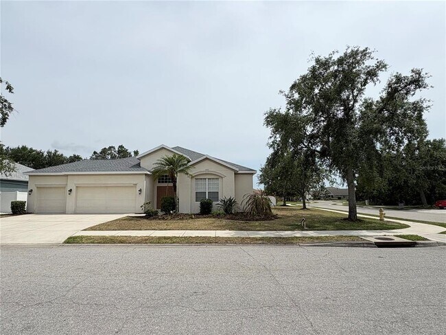 11405 Summit Rock Ct in Parrish, FL - Building Photo - Building Photo