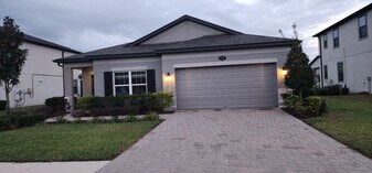 19376 Blossom Vine Ln in Lutz, FL - Building Photo