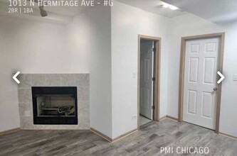 1013 N Hermitage Ave in Chicago, IL - Building Photo - Building Photo