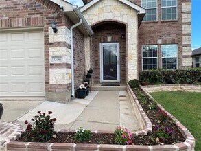 3206 Lipizzan Dr in Denton, TX - Building Photo - Building Photo