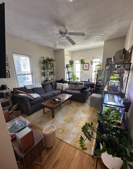 11 Homer Sq, Unit 1 in Somerville, MA - Foto de edificio