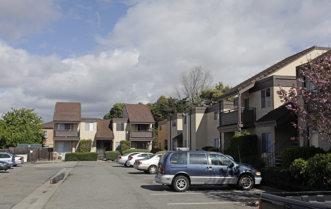 Buckeye Apartments in San Lorenzo, CA - Building Photo - Building Photo