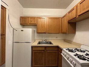 1169 N Dearborn St in Chicago, IL - Building Photo - Building Photo