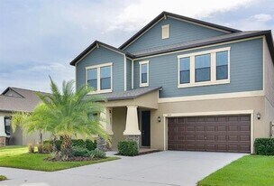 14051 Tropical Kingbird Way in Riverview, FL - Building Photo