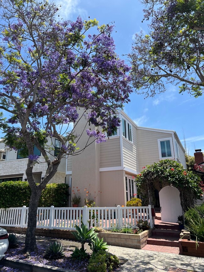 property at 502 Acacia Ave