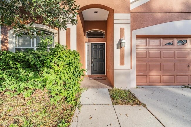 13015 Terrace Brook Pl in Tampa, FL - Building Photo - Building Photo