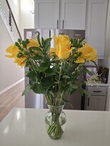 4802 Warm Wassail Dr in Austin, TX - Building Photo