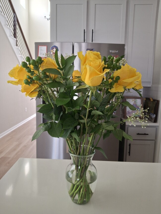 property at 4802 Warm Wassail Dr