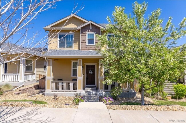 3793 Cadence Dr