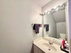 311 Coral Creek Ln in Morrisville, NC - Building Photo - Building Photo