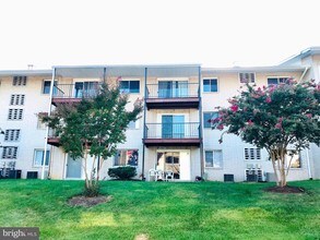 5410 85th Ave-Unit -102 in New Carrollton, MD - Building Photo - Building Photo