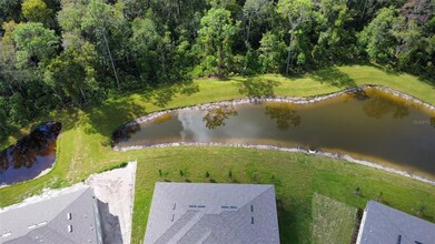 17596 Nectar Flume Dr in Land O Lakes, FL - Foto de edificio - Building Photo