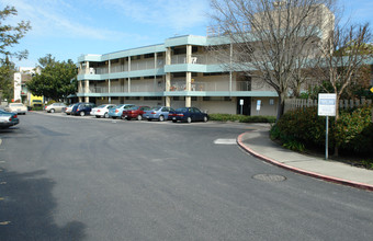 Stevenson House in Palo Alto, CA - Building Photo - Building Photo