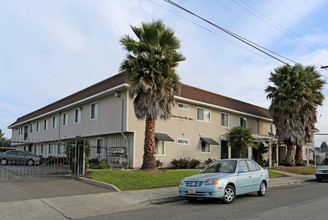 Tehama Palms Apartment in Hayward, CA - Building Photo - Building Photo