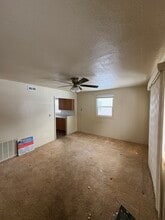 313 E North St in Albion, MI - Building Photo - Building Photo