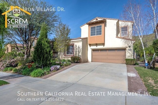 property at 28741 N Iron Village Dr
