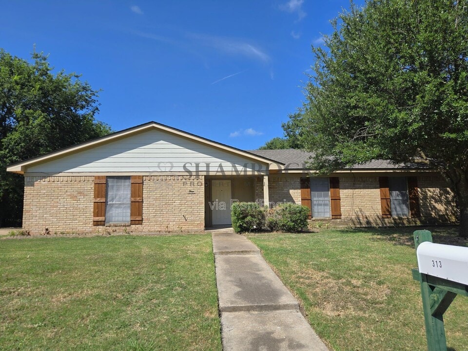 313 Travis Ln in Hewitt, TX - Building Photo