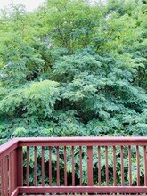 1732 Thistlewood Dr in Clarksville, TN - Building Photo - Building Photo