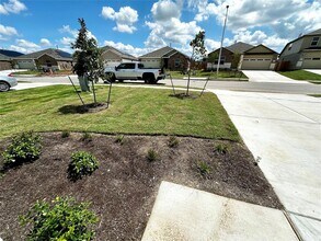 159 Mayacama Lp in San Marcos, TX - Building Photo - Building Photo