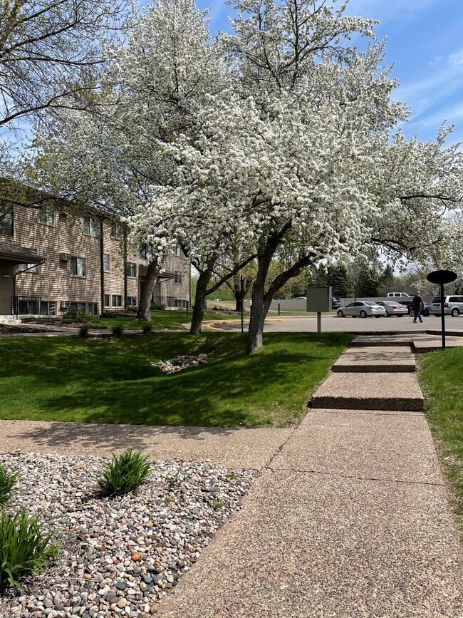 Shadow Green Apartments