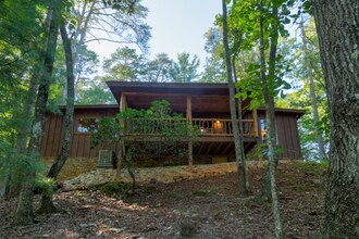 250 Lovell Ln in Tiger, GA - Foto de edificio - Building Photo