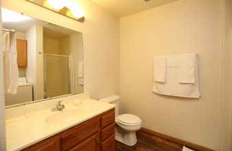 Madison Apartments in Madison, WI - Building Photo - Interior Photo