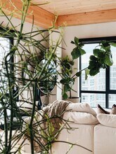 10 S Paterson St in Madison, WI - Foto de edificio - Building Photo