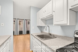100 E Walton St in Chicago, IL - Building Photo - Building Photo