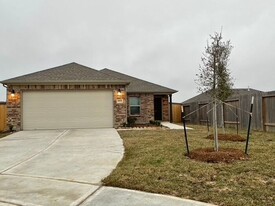 20839 Acorn Valley Dr in Roman Forest, TX - Foto de edificio - Building Photo