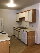 1108 Ward St in Mt. Pleasant, MI - Building Photo - Building Photo