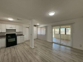 164 Lost Forest St in San Antonio, TX - Foto de edificio - Building Photo