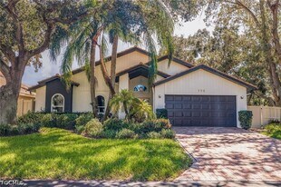 720 White Sand Dr in St. Petersburg, FL - Building Photo