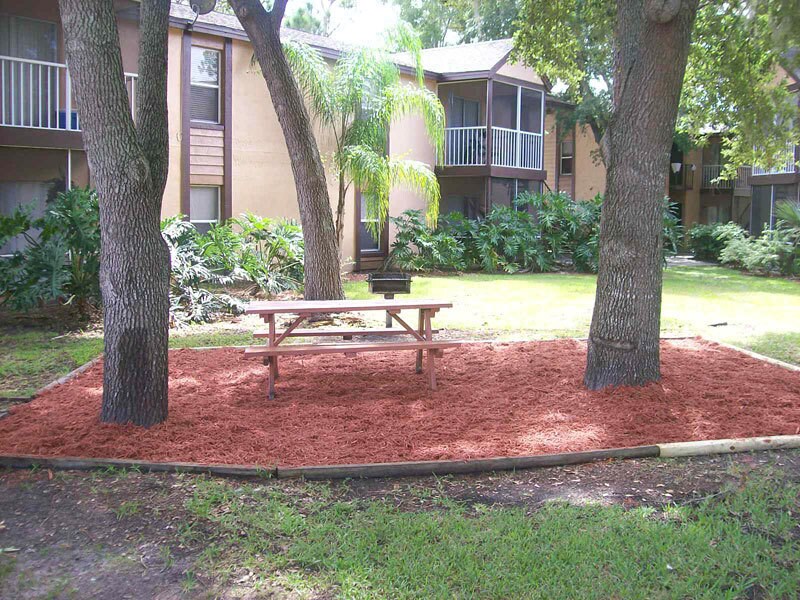 3842 Bay Club Cir in Kissimmee, FL - Building Photo