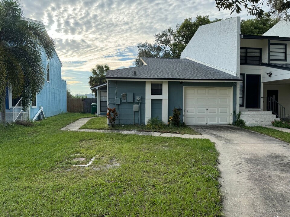 2509 E Stanley Matthew Cir in Tampa, FL - Building Photo