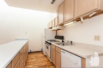 2509 N Lincoln Ave, Unit D3 in Chicago, IL - Building Photo - Building Photo