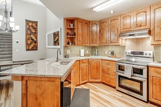 93 Pelican Cir in Breckenridge, CO - Building Photo - Building Photo