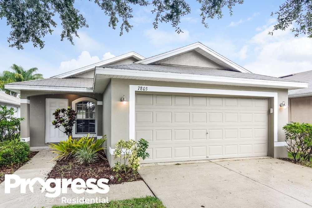 7803 Citrus Blossom Dr in Land O Lakes, FL - Building Photo