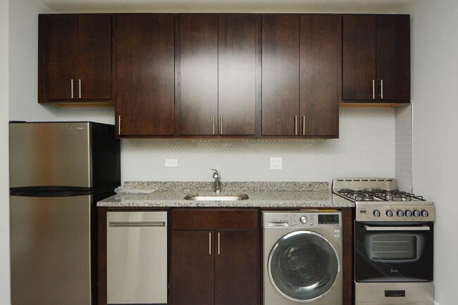 432.5 W Belden Ave in Chicago, IL - Building Photo - Building Photo