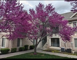 543 N University Ave, Unit 208 in Provo, UT - Building Photo