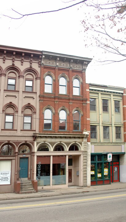 1205 E Carson St in Pittsburgh, PA - Building Photo