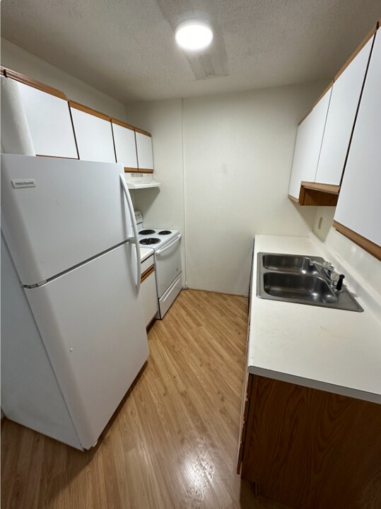 1518 1st St E in Thief River Falls, MN - Building Photo