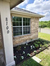 8100 MacGregor Dr in Arlington, TX - Building Photo - Building Photo