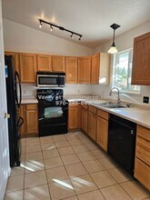 740 Gold Rush Dr in Fruita, CO - Building Photo - Building Photo