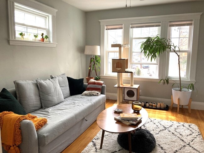 50 Boylston St in Boston, MA - Building Photo - Building Photo